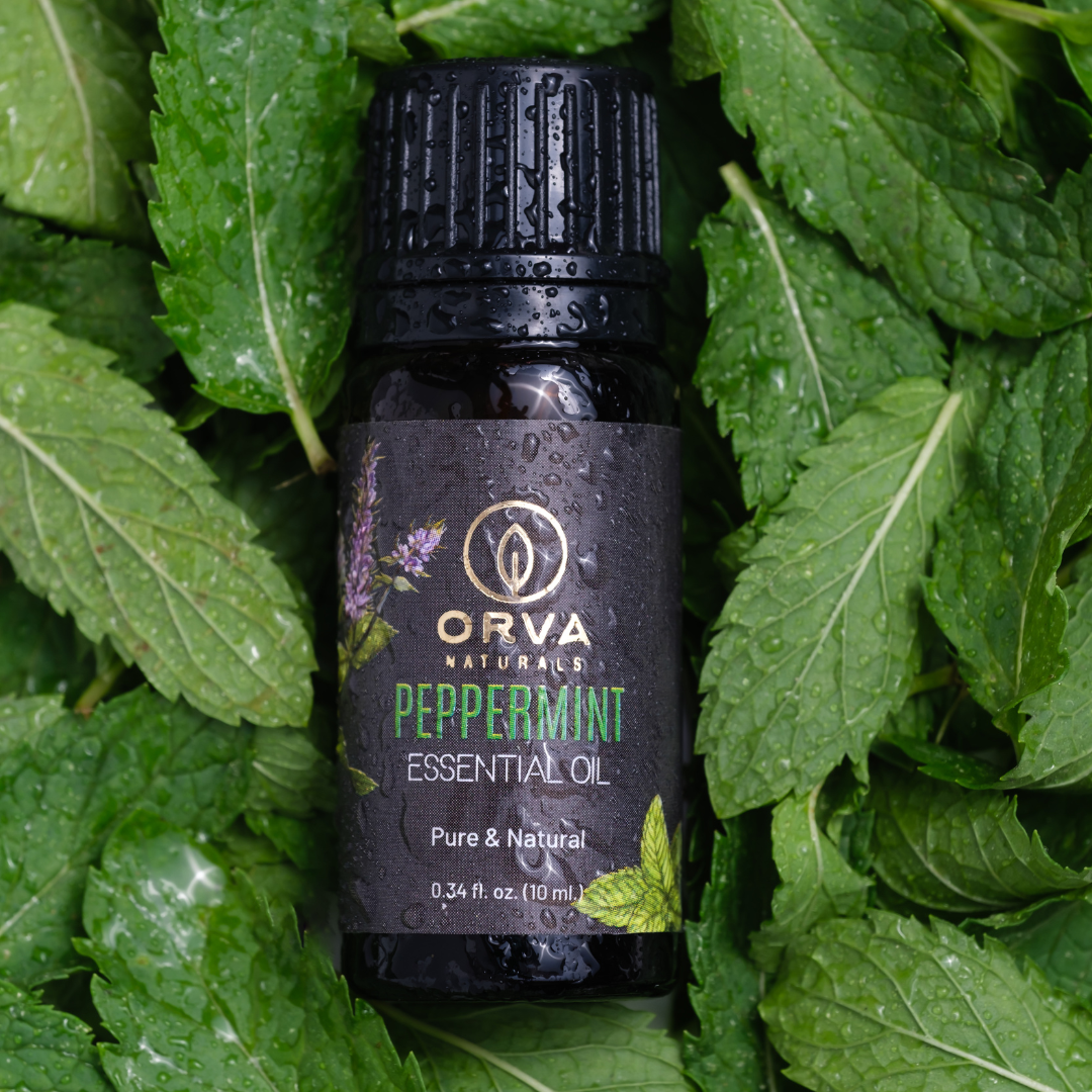 ORVA Naturals Essential Oil - Peppermint 10 Ml
