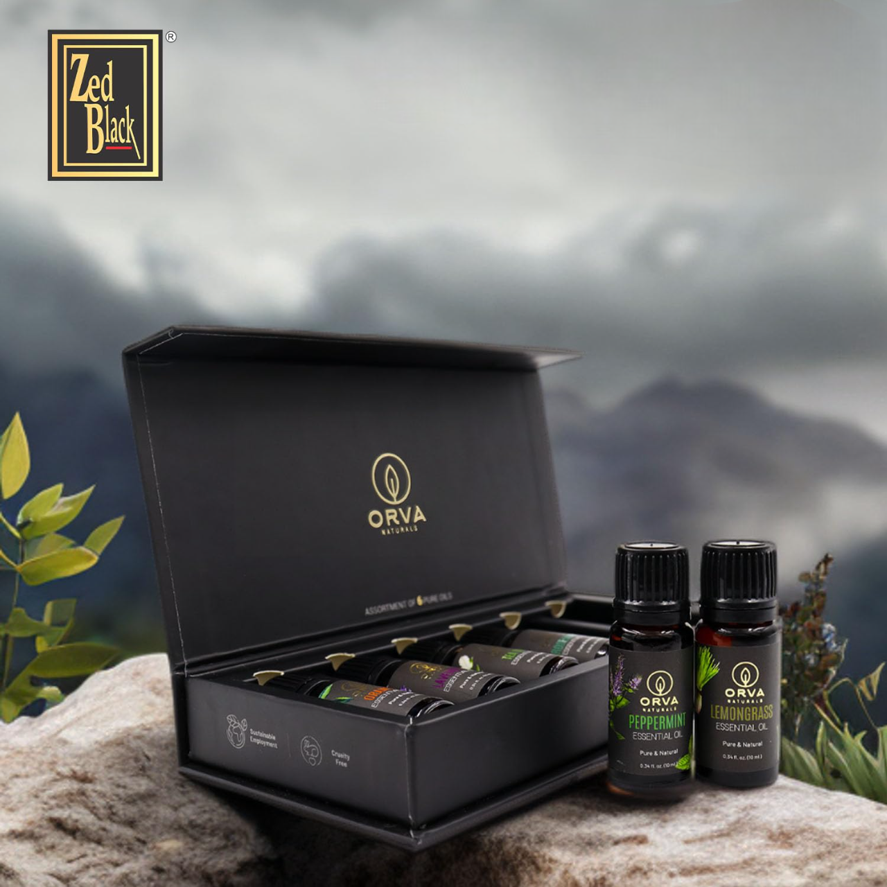 ORVA Naturals Essential Oil Combo Of 6 Units (Peppermint, Tea Tree, Orange, Rosemary, Lavender, and Lemongrass)